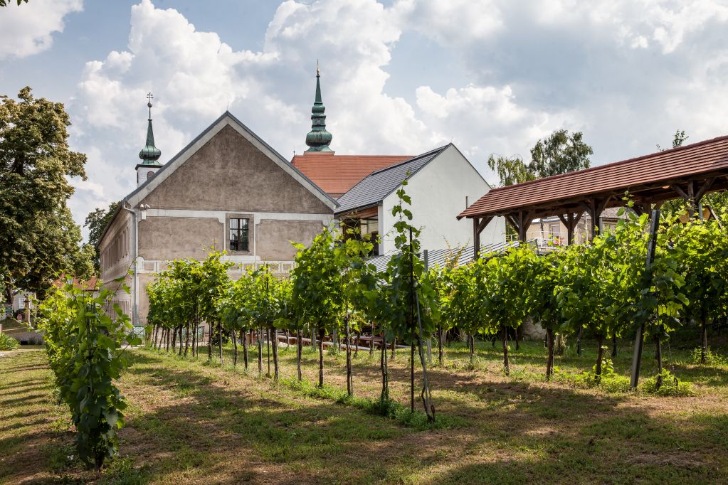 Vino Versum, Außenansicht mit Weingarten (© Museumsmanagement Niederösterreich, Foto: Nadja Meister)